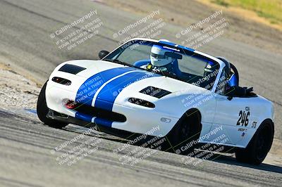 media/May-24-2025-Turn8 Trackdays (Sat) [[034586b55d]]/2 Advanced 1/Session 1 (On Ramp)/